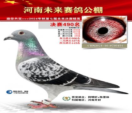 河南未来决赛490名