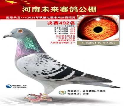 河南未来决赛492名