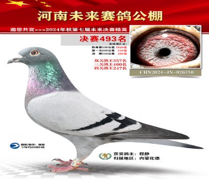河南未来决赛493名