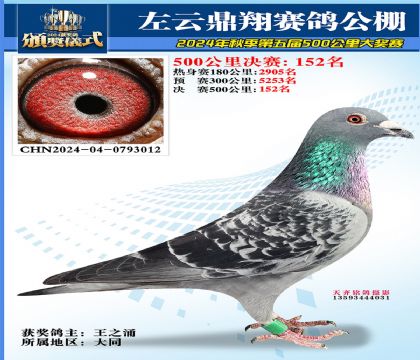 左云鼎翔决赛152名