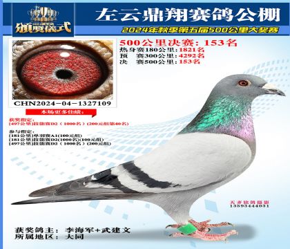左云鼎翔决赛153名