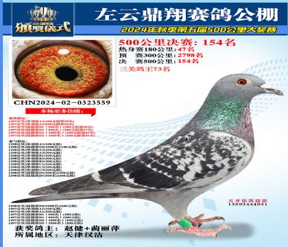 左云鼎翔决赛154名