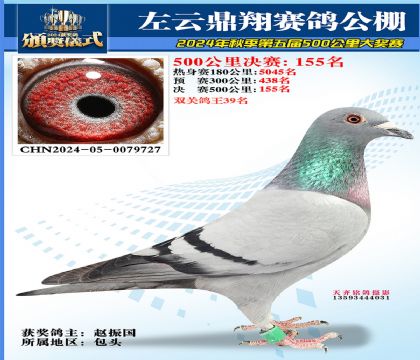 左云鼎翔决赛155名