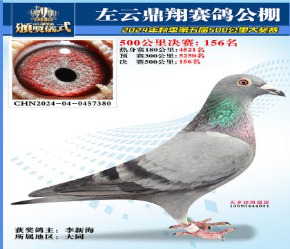 左云鼎翔决赛156名