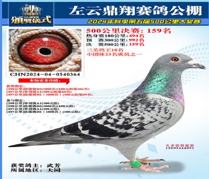 左云鼎翔决赛159名