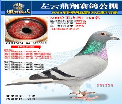左云鼎翔决赛160名