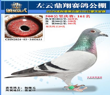 左云鼎翔决赛161名