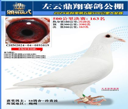 左云鼎翔决赛163名