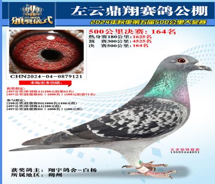 左云鼎翔决赛164名