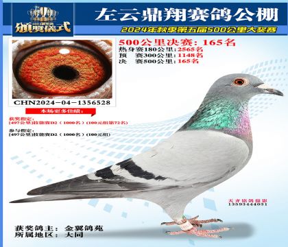 左云鼎翔决赛165名