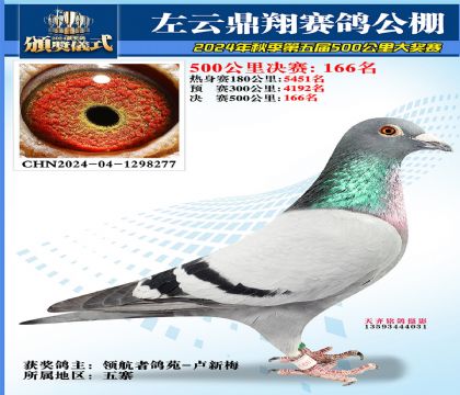左云鼎翔决赛166名