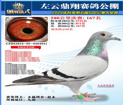 左云鼎翔决赛167名