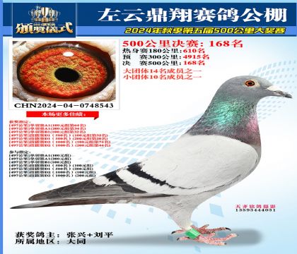左云鼎翔决赛168名