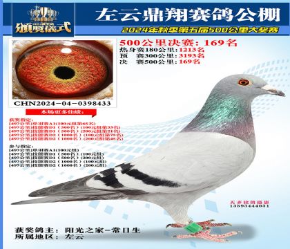 左云鼎翔决赛169名