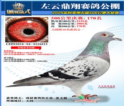 左云鼎翔决赛170名