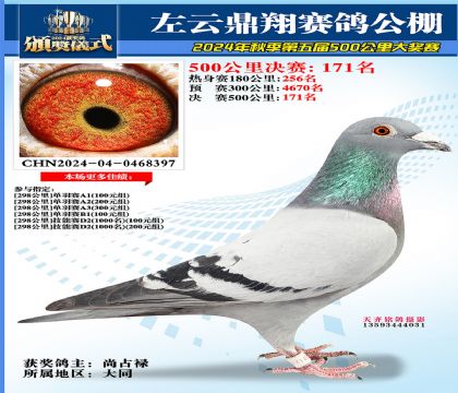 左云鼎翔决赛171名