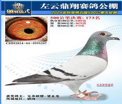 左云鼎翔决赛173名