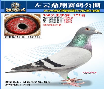 左云鼎翔决赛175名