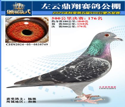 左云鼎翔决赛176名