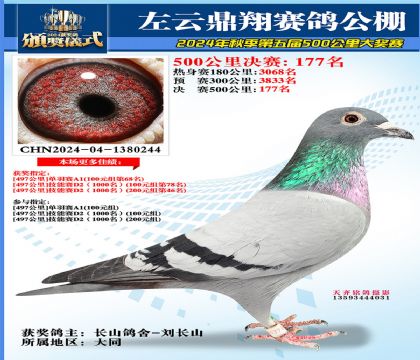 左云鼎翔决赛177名
