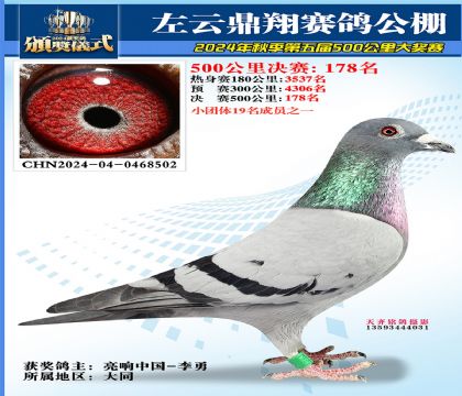 左云鼎翔决赛178名