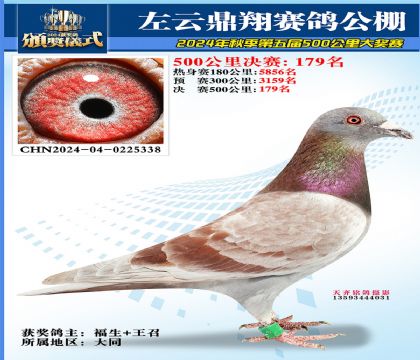 左云鼎翔决赛179名