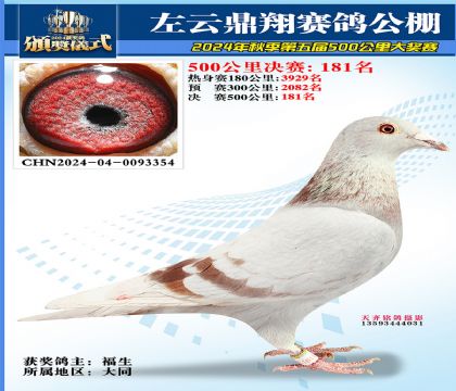 左云鼎翔决赛181名