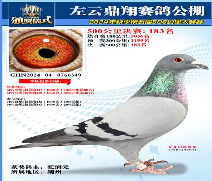 左云鼎翔决赛183名