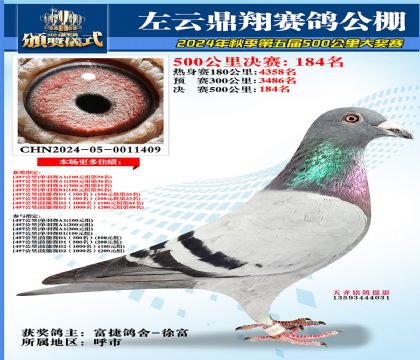 左云鼎翔决赛184名