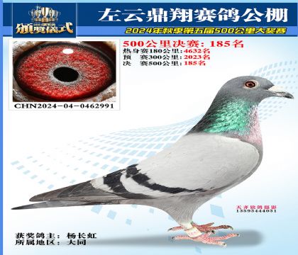 左云鼎翔决赛185名
