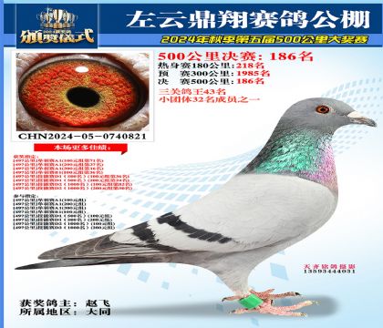 左云鼎翔决赛186名
