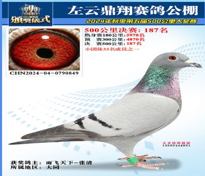 左云鼎翔决赛187名