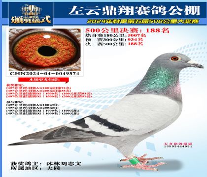 左云鼎翔决赛188名