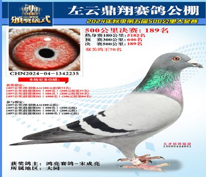左云鼎翔决赛189名