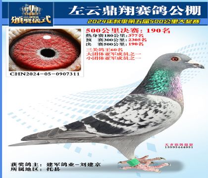 左云鼎翔决赛190名