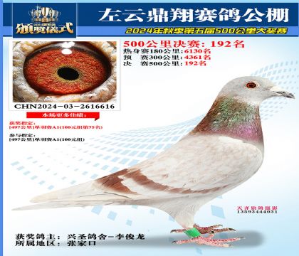 左云鼎翔决赛192名