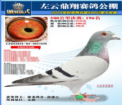 左云鼎翔决赛196名