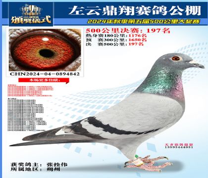 左云鼎翔决赛197名