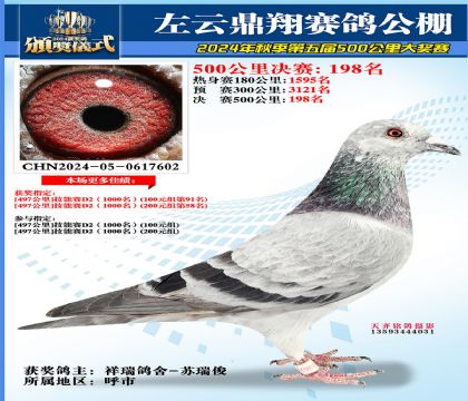 左云鼎翔决赛198名