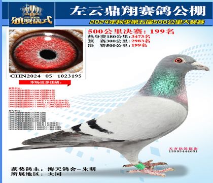 左云鼎翔决赛199名