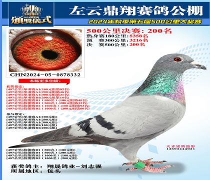 左云鼎翔决赛200名