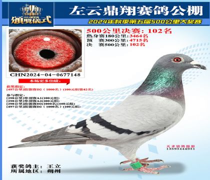 左云鼎翔决赛102名
