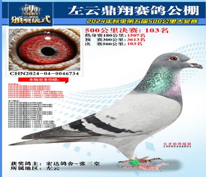 左云鼎翔决赛103名