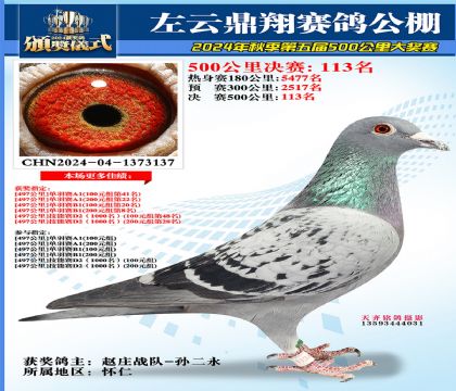左云鼎翔决赛113名