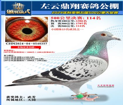左云鼎翔决赛114名
