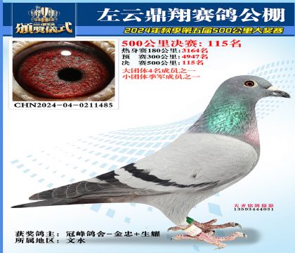 左云鼎翔决赛115名