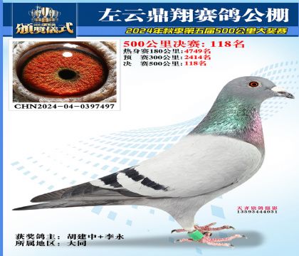 左云鼎翔决赛118名