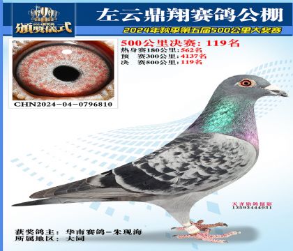 左云鼎翔决赛119名