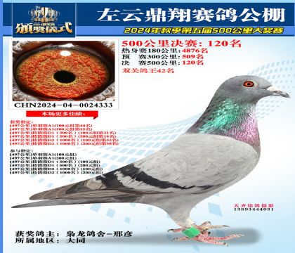 左云鼎翔决赛120名