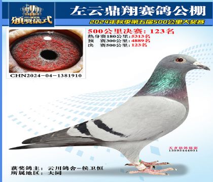 左云鼎翔决赛123名